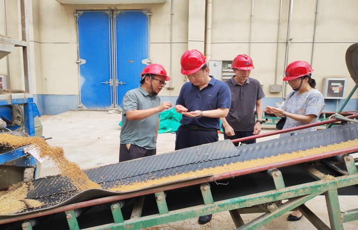 局黨組書(shū)記、局長(zhǎng)蔣超督導(dǎo)省儲(chǔ)小麥?zhǔn)召?gòu)和糧食倉(cāng)儲(chǔ)項(xiàng)目建設(shè)工作