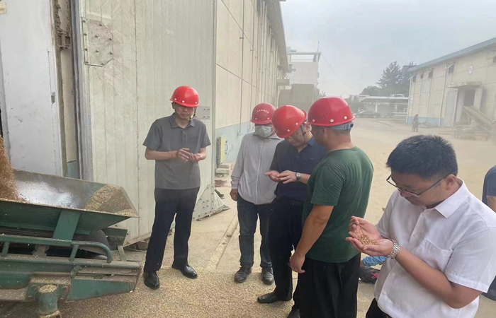 局黨組書(shū)記、局長(zhǎng)蔣超督導(dǎo)省市級(jí)儲(chǔ)備糧收購(gòu)、項(xiàng)目建設(shè)工作