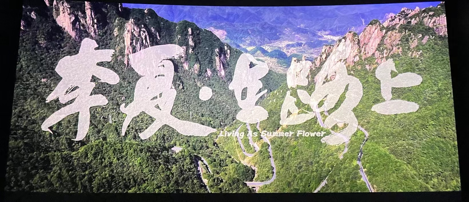 “生如夏花而絢爛”淮糧集團(tuán)組織員工觀(guān)影《李夏·在路上》