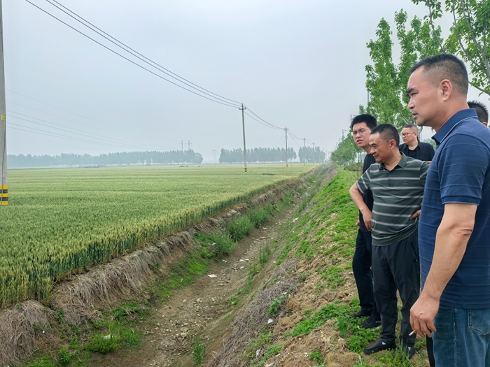 淮糧實業(yè)公司開展小麥市場調研